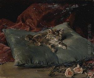 Gatito by Francisco Domingo Marques