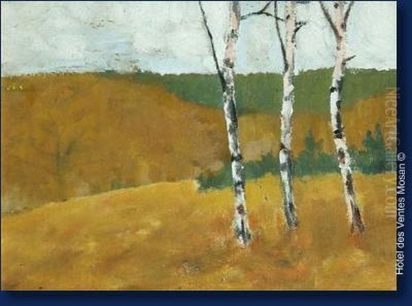 Les Bouleaux - view 1