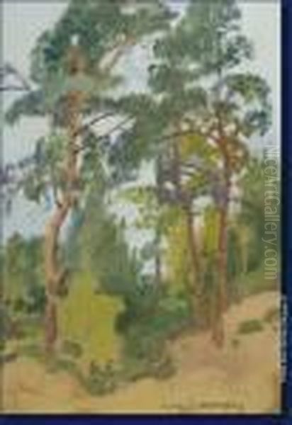 Le Bois De Pins - view 1