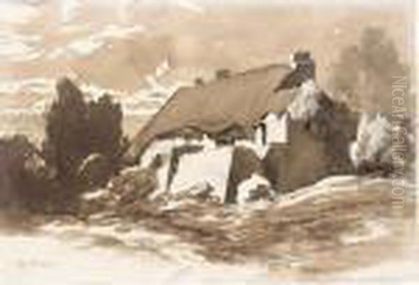 A Thached Cottage - view 1