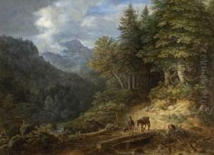 Bewaldetes Gebirgstal