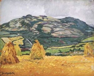 The Field