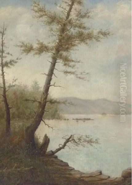 Along The Lake Shore - view 1