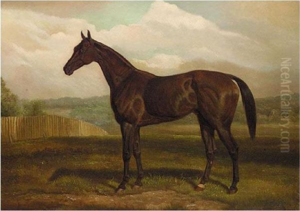 Study Of A Bay Horse - view 1