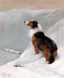 Collie In The Snow
