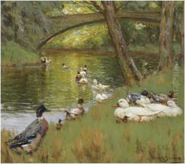 Ducks At The Bend Of The River - view 1