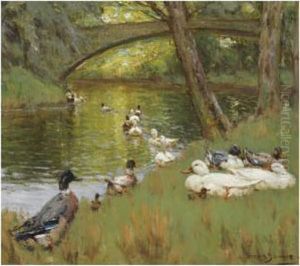 Ducks At The Bend Of The River by Patrick Downie