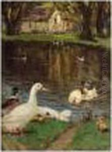 The Duck Pond by Patrick Downie