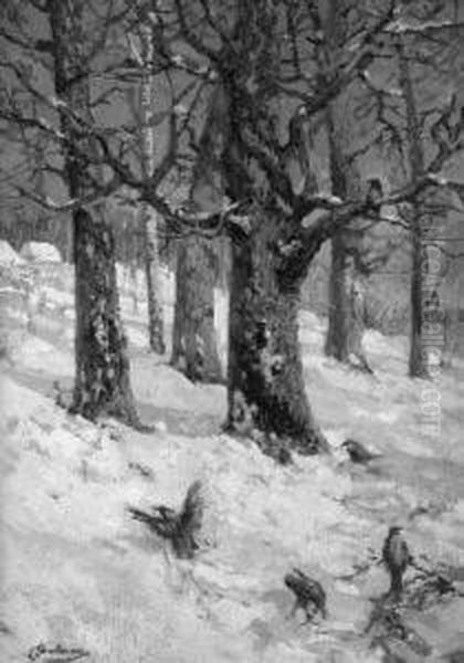 Dohlen Im Winterwald - view 1