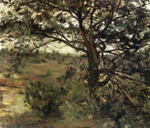 Luneberger Heide