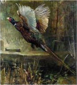 The Startled Pheasants by Arthur Drummond
