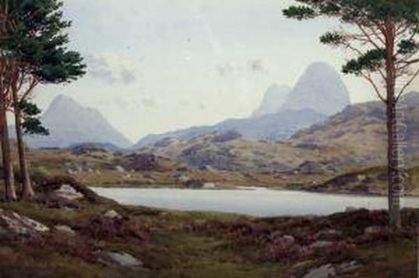 Lough Corrib - view 1