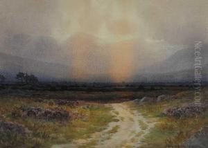 Bog Sunset, Possibly County Kerry