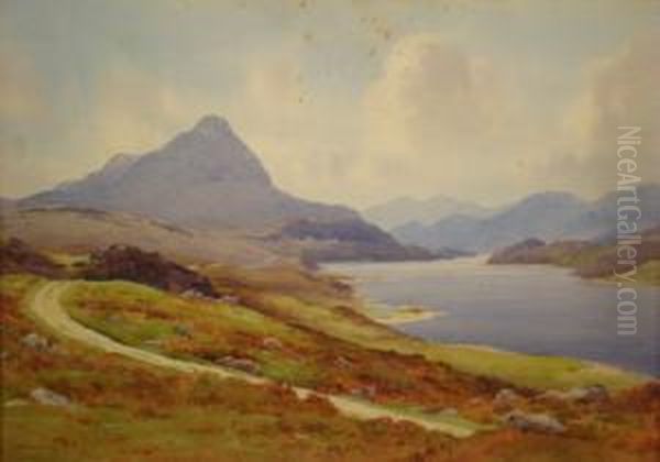 Lough Corrib And A View To The Connemara Mountains - view 1