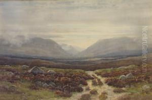 Connemara Mountain Landscape - view 1