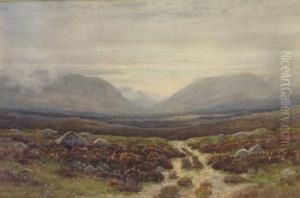 Connemara Mountain Landscape