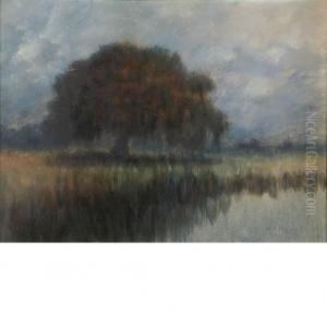 Oak On The Lower Coast Of The Mississippi by Alexander John Drysdale