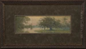 Louisiana Bayoulandscape
