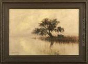 View Of A Misty Morning Onthe Louisiana Bayou With Trapper's Cabin And Oak Tree