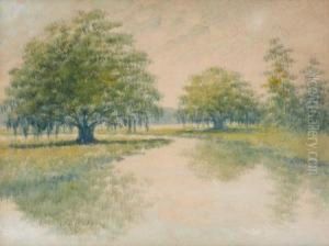 Louisiana Bayou Landscape by Alexander John Drysdale
