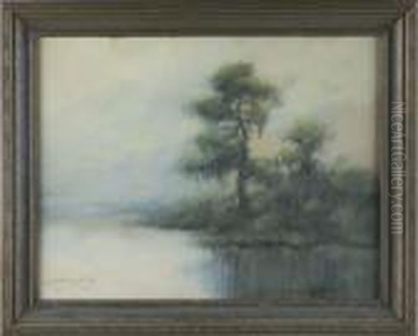 Cypress Swamp - view 1