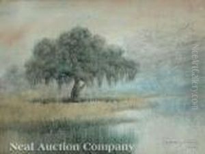 Louisiana Bayou Country by Alexander John Drysdale