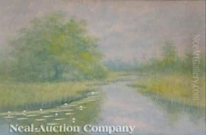 Louisiana Bayou Country