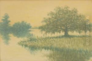 Louisiana Marsh by Alexander John Drysdale