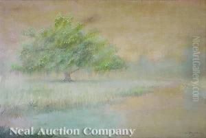 Dawn On A Bayou, Louisiana by Alexander John Drysdale