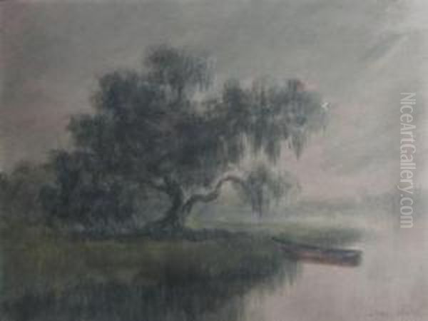 Misty Scene Of Tree In The Bayou - view 1