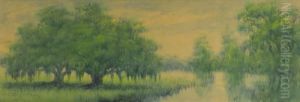 Louisiana Bayou by Alexander John Drysdale