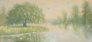 Louisiana Bayou Country by Alexander John Drysdale