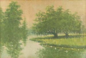 Louisiana Bayou Country by Alexander John Drysdale