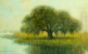 Weeping Willow In The Mist by Alexander John Drysdale