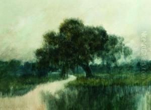Mist Filling The Air