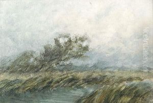 Bayou Scene With Wind Blown Marsh Grass And Tree