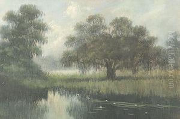 Louisiana Bayou - view 1