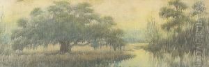 Bayou Landscape