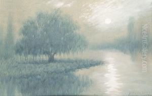 Bayou Landscape