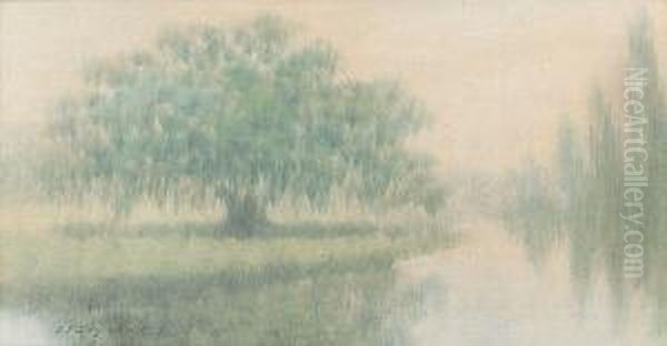 Spring Morning, Louisiana - view 1