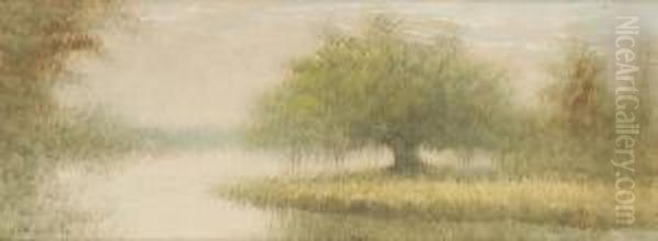 Bayou Landscape With Oak Tree - view 1
