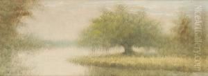 Bayou Landscape With Oak Tree