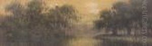 Bayou Scene With Live Oaks