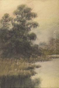 Louisiana Cypress Swamp by Alexander John Drysdale