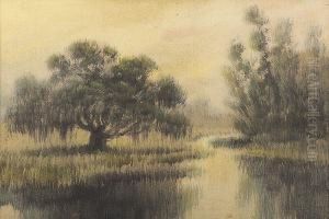 Louisiana Bayou by Alexander John Drysdale