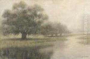 Louisiana Bayou Scene by Alexander John Drysdale