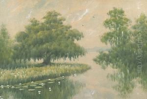 Louisiana Bayou