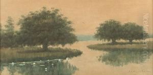 Louisiana Oak Tree, Bayou Landscape