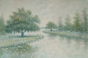 Louisiana Bayou Scene by Alexander John Drysdale