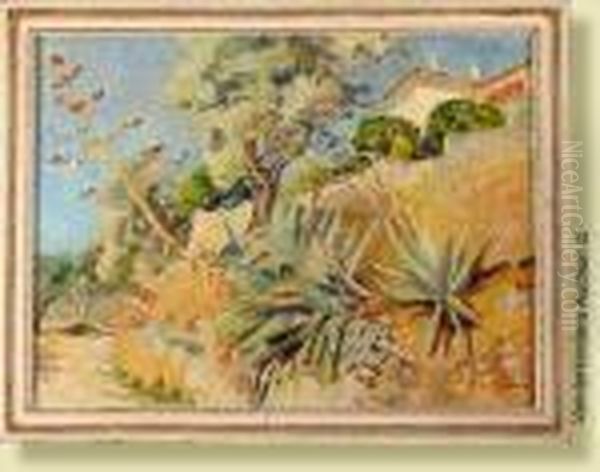 L'agave - view 1